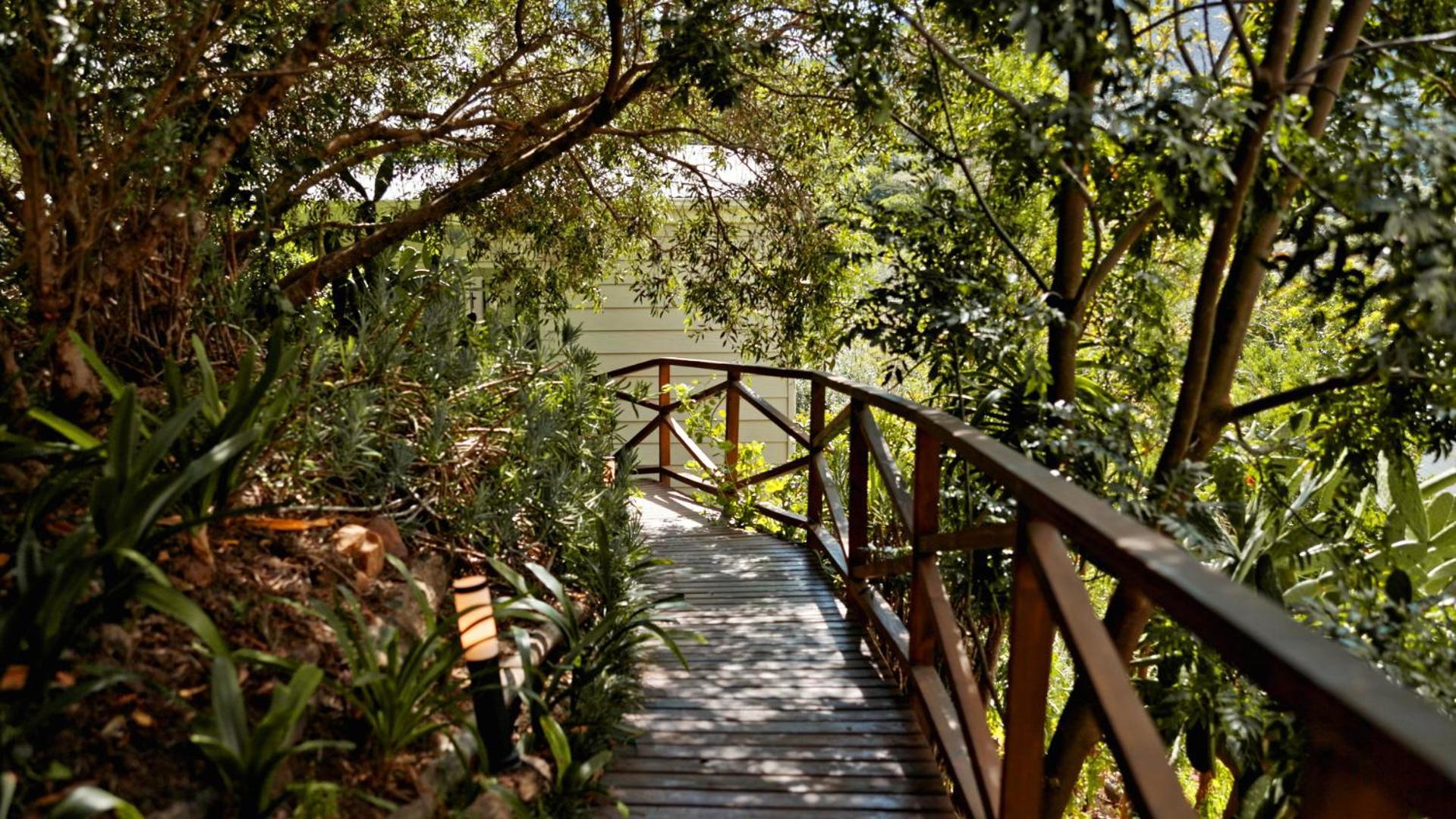 Bay Haven Collection - Treehouse Apartment Cape Town